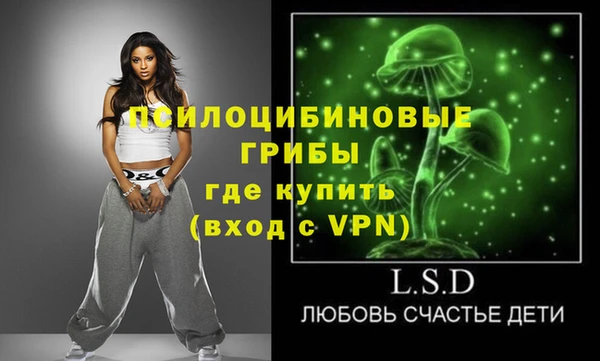 индика Аркадак