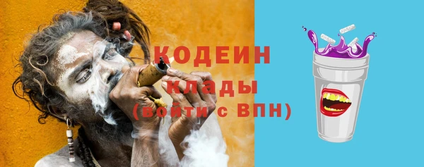 индика Аркадак