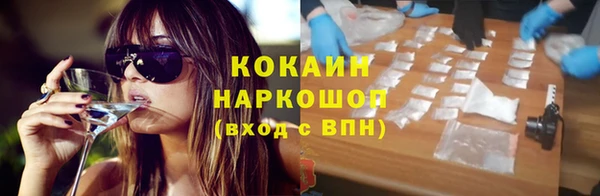 индика Аркадак