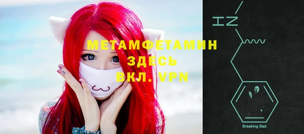 индика Аркадак