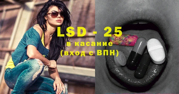 индика Аркадак