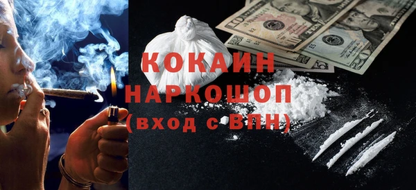 индика Аркадак