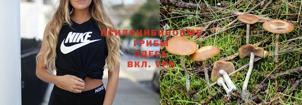 молекула духа Армянск