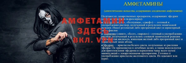 индика Аркадак