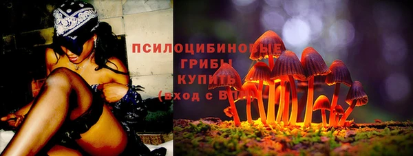 прущий лед Арсеньев